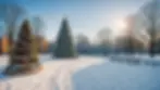 Wide angle view of a snowy park ready for Christmas celebrations