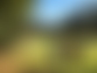 Upcoming Cross Country for Primary  & Secondary School Athletes