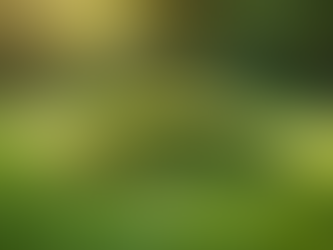 Understanding Yard Hole Digging Animals: Why They Dig and What You Can Do