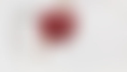 POURQUOI TANT DE MOIS SANS ALCOOL ?