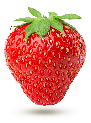 Fraise-DAutomne