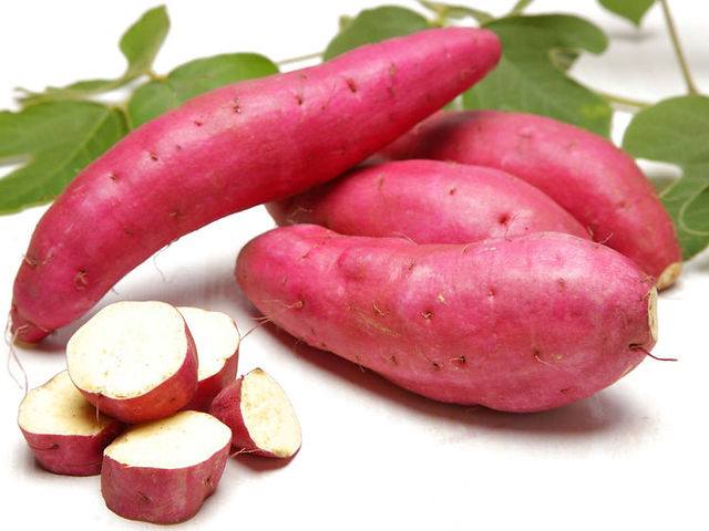 comment-cultiver-la-patate-douce