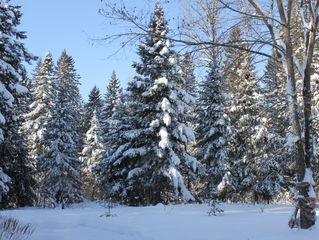 PREMIÈRE NEIGE