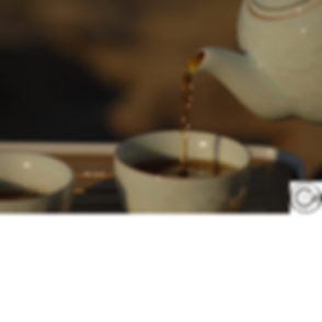 Ph_ D.F. (3).png