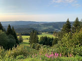 IMG_4366.jpeg