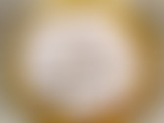 POSNE POTKOVICE SA ORASIMA