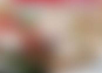 JAPANSKI CHEESECAKE - DESERT SA GRČKIM JOGURTOM I KEKSOM