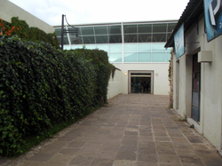 Edited Image 2013-11-14-23:39:59