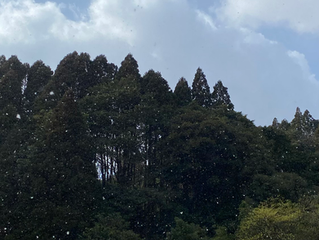 久しぶりに