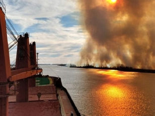 Tajos de la economía extractiva: los humedales del Paraná bajo fuego