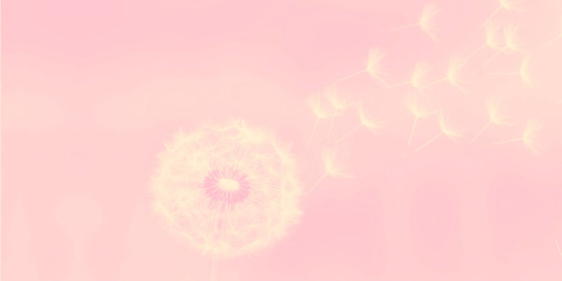 Sem nome (148 × 100 mm) (120 × 60 mm)_edited_edited_edited.jpg