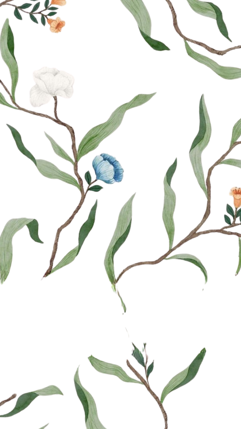 sarah & zain website mockup.pdf (9).png