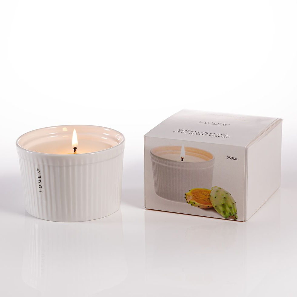 Miniatura: GRAND SOUFFLE' FICO D'INDIA CANDELA VEGETALE ml.250 IN ASTUCCIO
