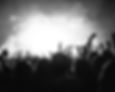 concert2.jpg
