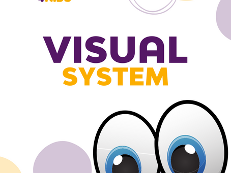 Visual System