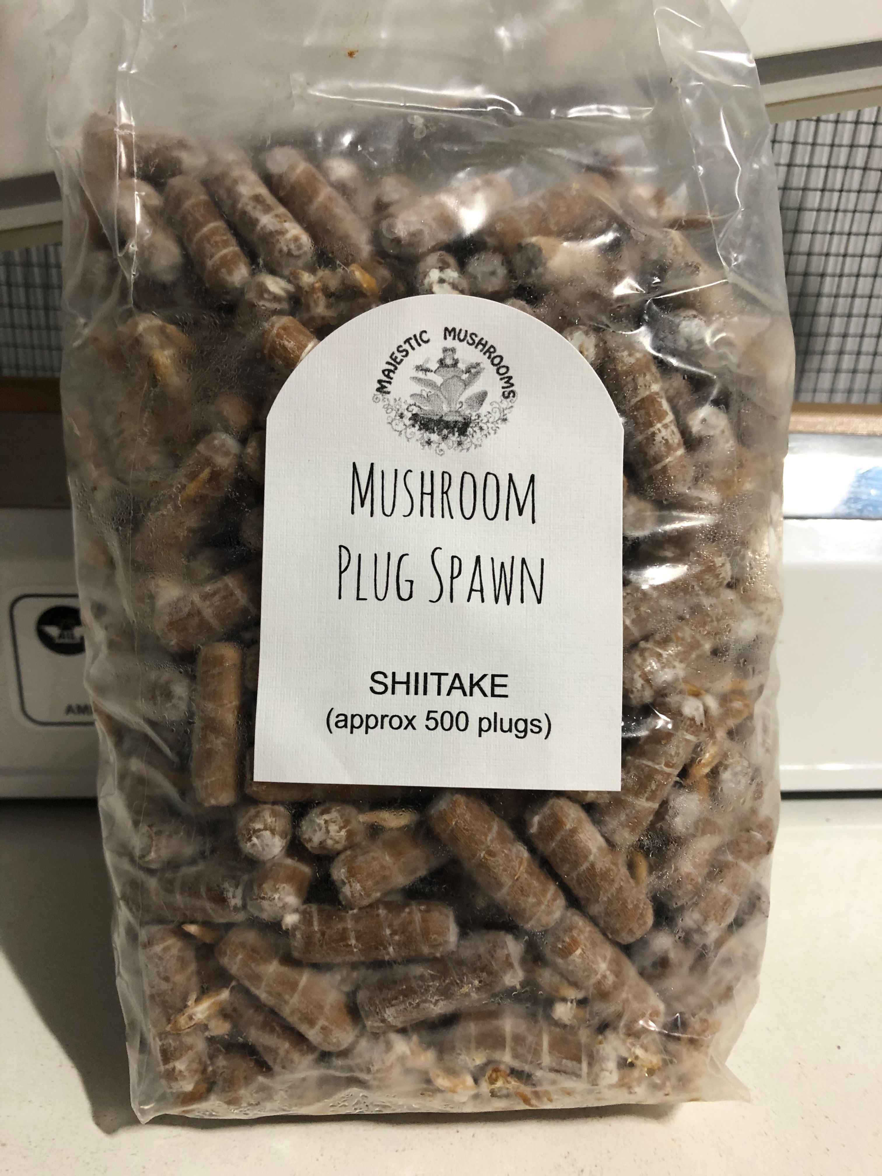 Shiitake plug spawn 500x