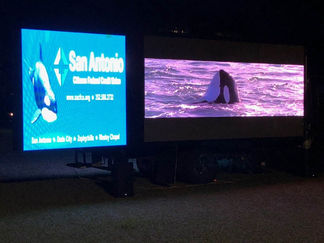 Movie Night In The Park