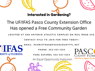 Free Community Garden