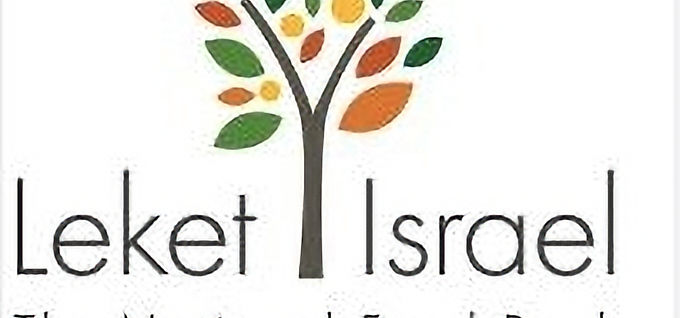 Get hands-on and make a real difference by helping feed Israelis in need through volunteering with Leket Israel.