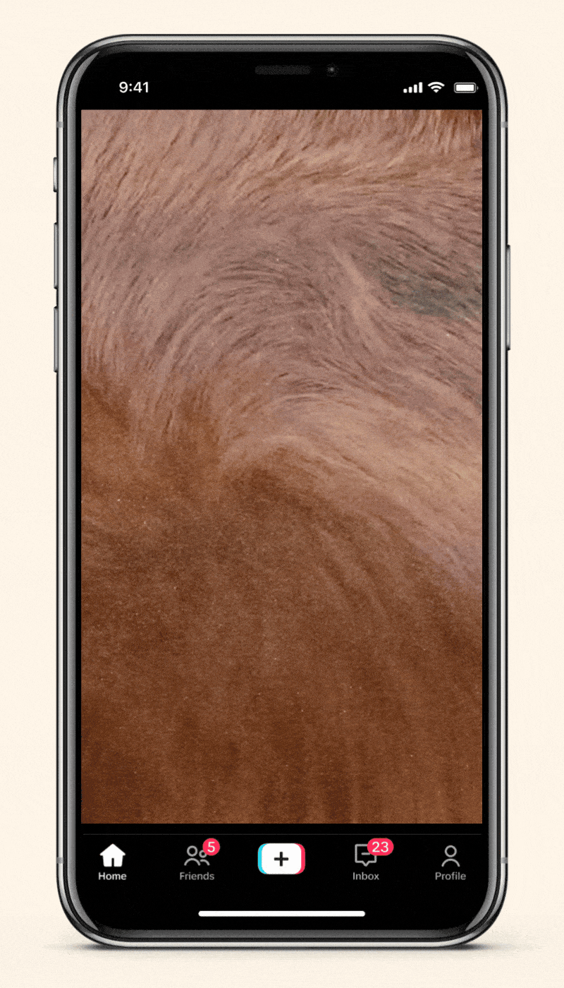 FFF6E9 (9) (1).gif