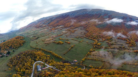 Bosco di sant'antonio in Abruzzo