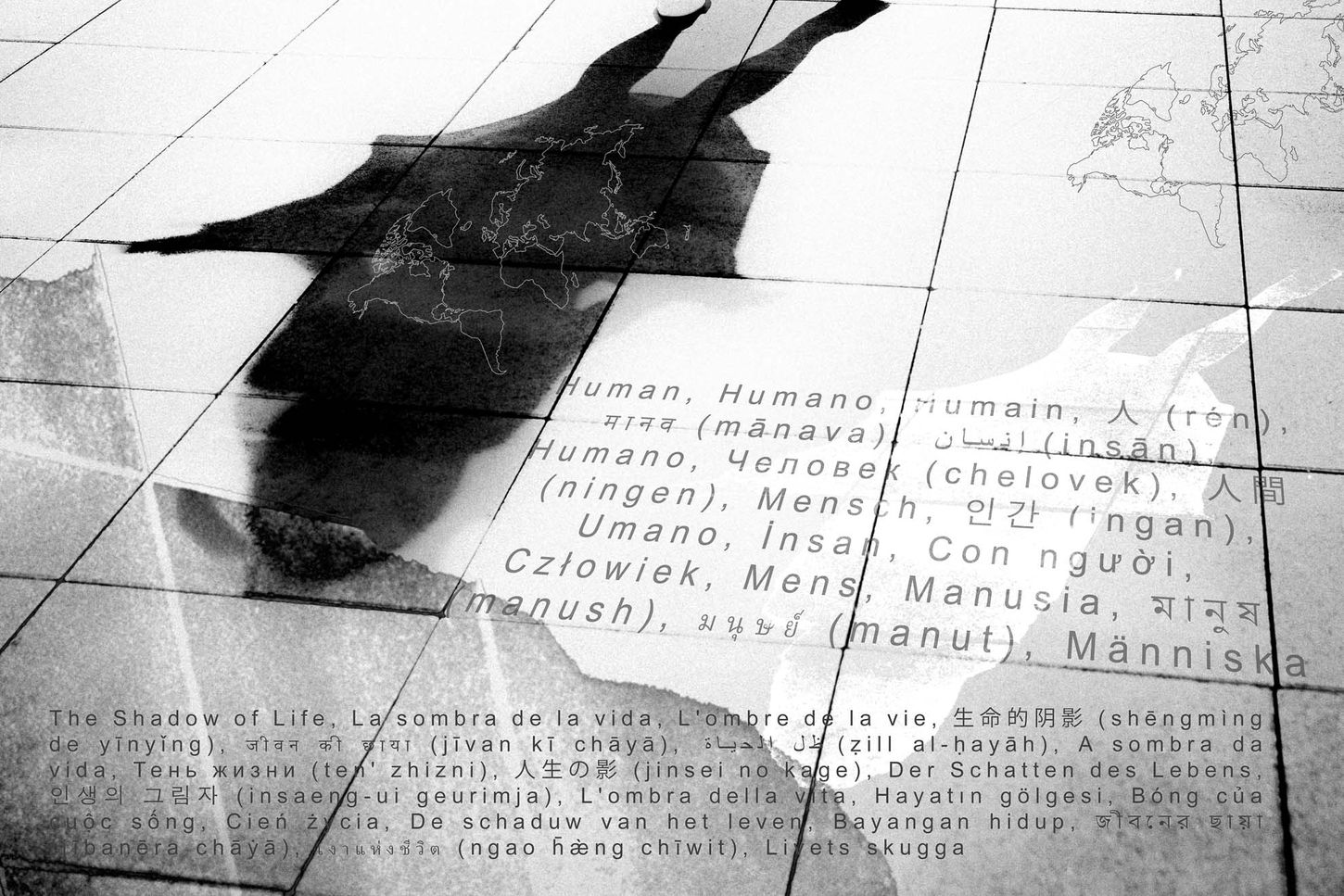 Schatten auf dem Boden