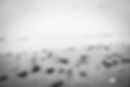 20221130_Zeitlos_Meer_044.jpg