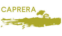 logo.jpeg