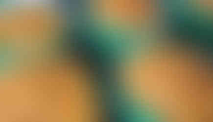 pumpkin muffin recipe