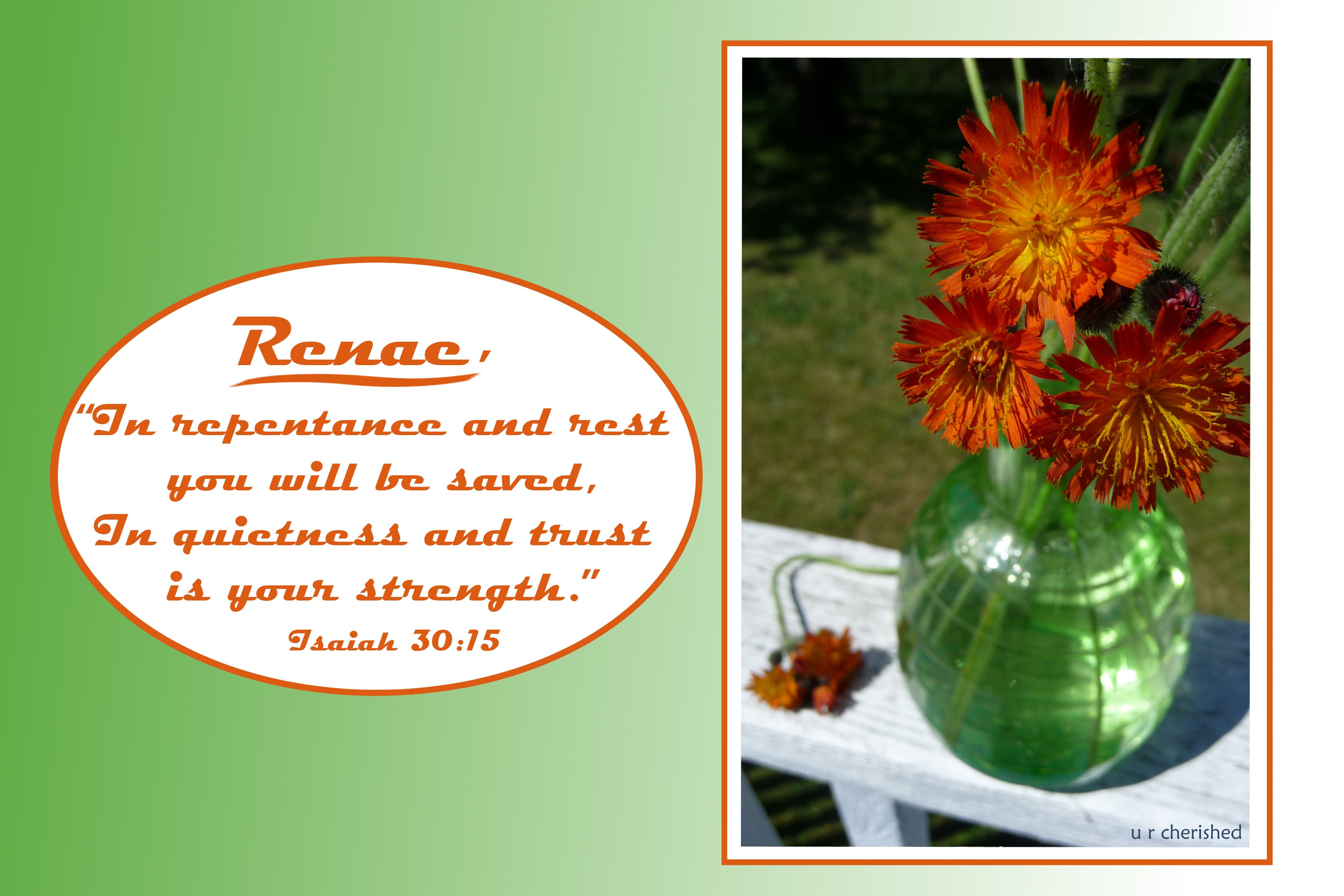 A037 Orange fire flowers Is 30:15