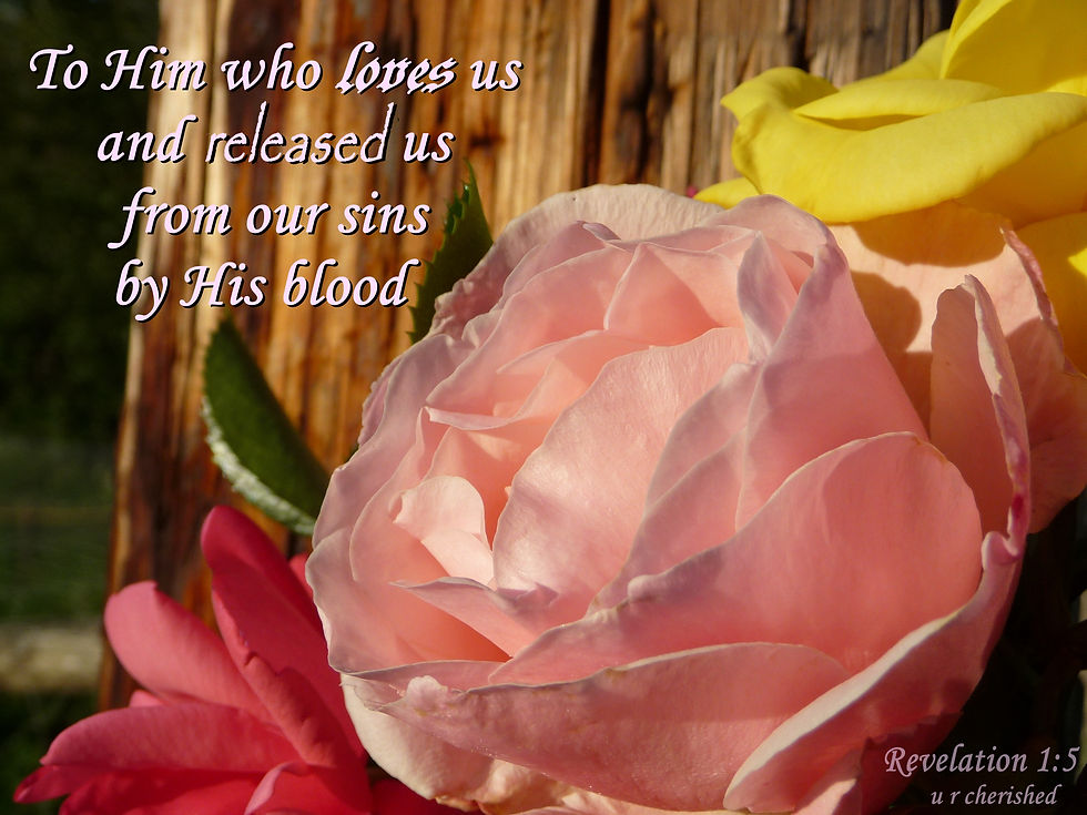 Thumbnail: A021 Roses Rev 1:5