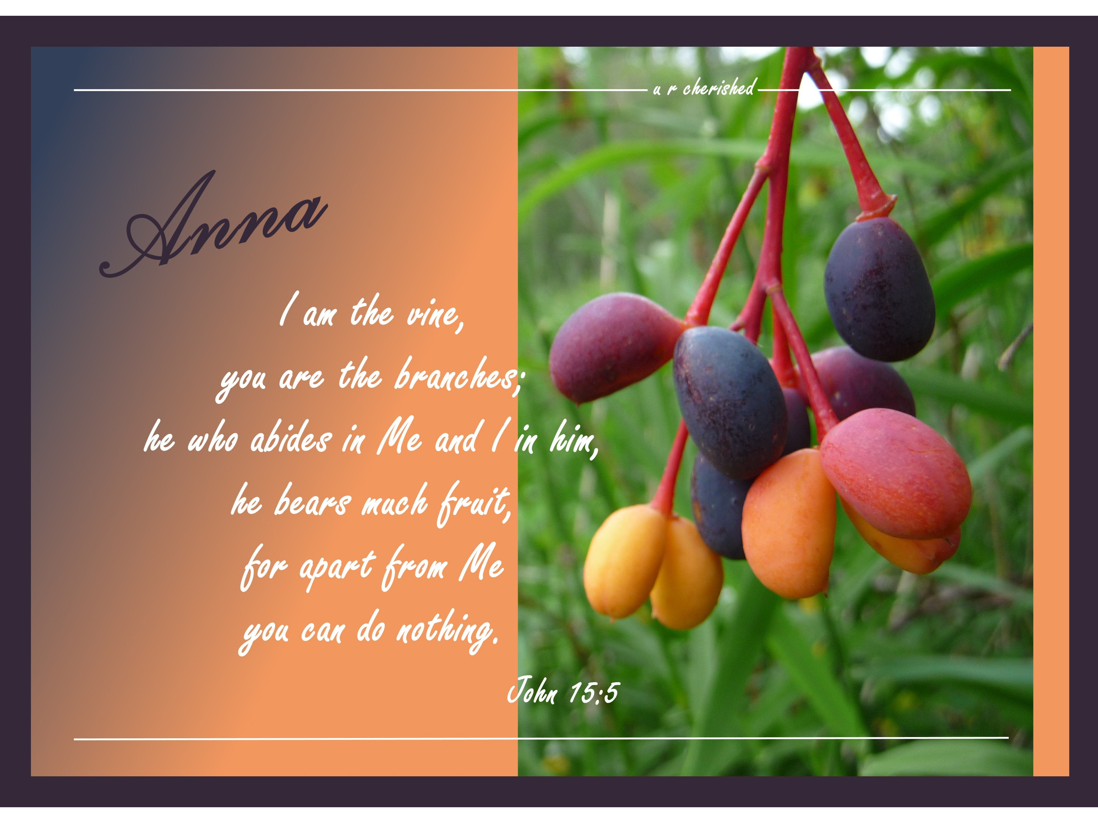 B024 Wild berries Jn 15:5