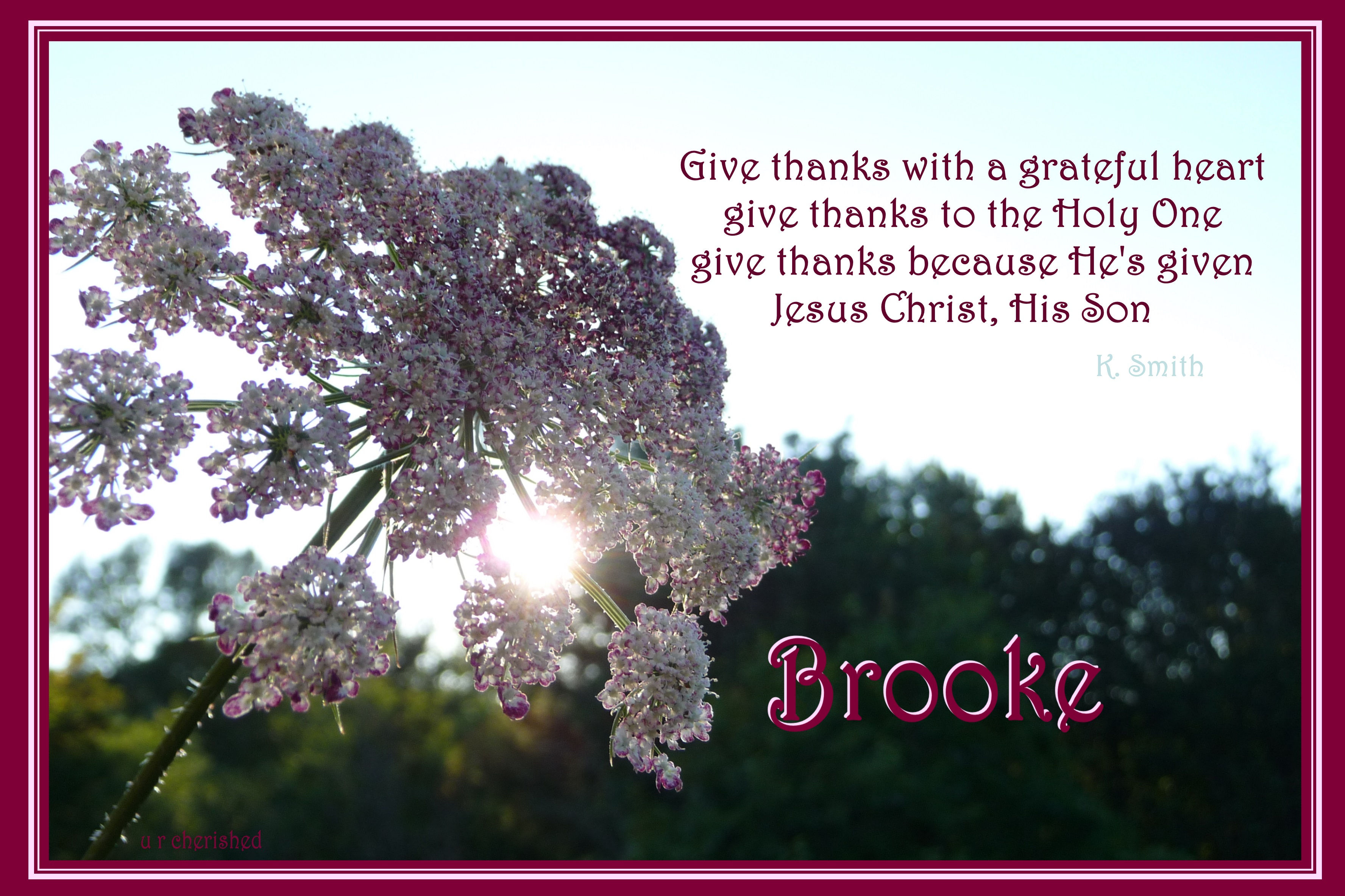 A043 Queen Anne's lace Give Thanks