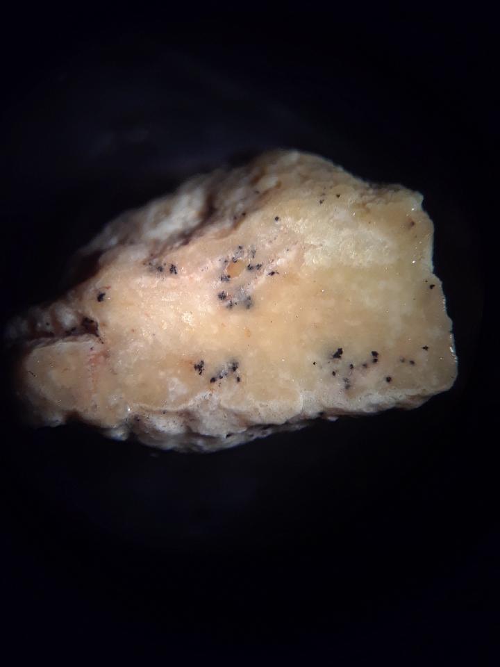 Apatite vein - (1 cm wide) - indicates proximal location to copper shell