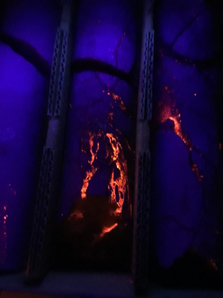 UV Light on core