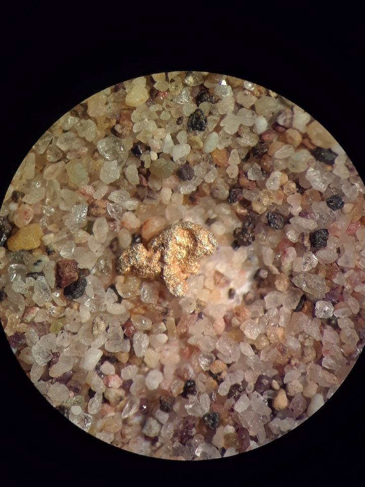 Unidentified 1-millimeter grain from K-20 precollar cuttings