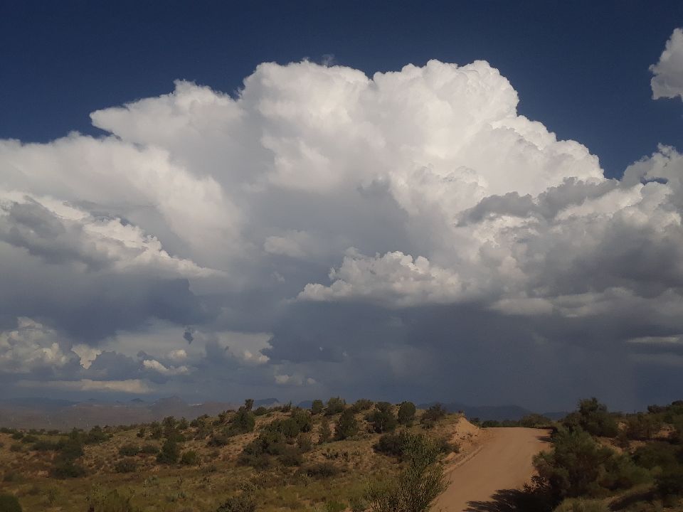 Monsoon season in the desert