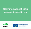 Olemme saaneet rahoitusta vihreä.png