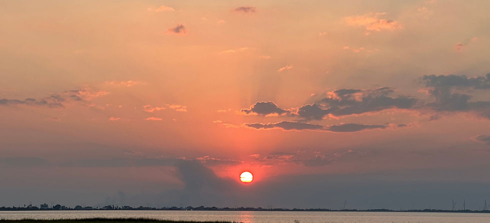 5658DA54-D9AB-4414-8689-FE5A802EC6C7_edited_edited_edited.jpg