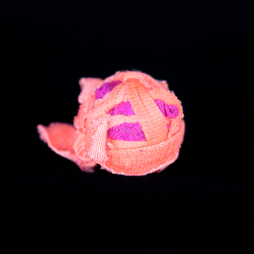 Ball Portrait 16.png