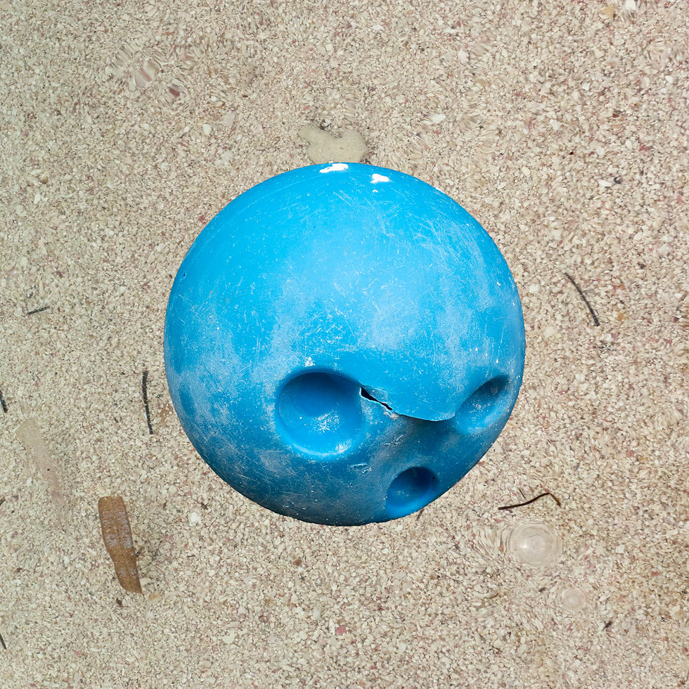 Ball Portrait, Si'an Kaan, 5.jpg