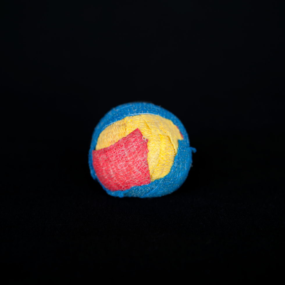 Ball Portrait 15.png