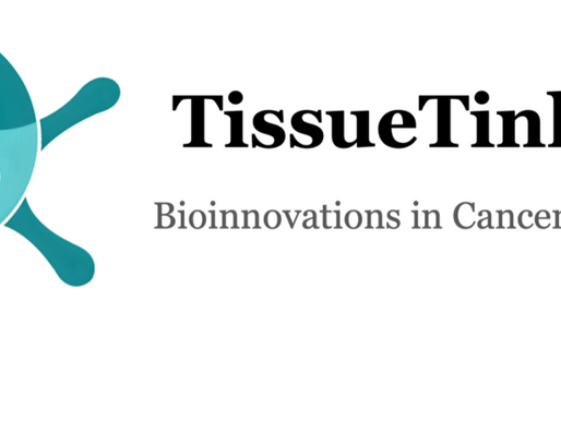 TissueTinker: Accelerating and Revolutionizing Preclinical Oncology