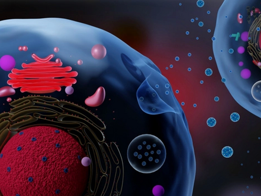 Killing Cancer with a Nanorobot