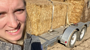 Straw-tastrophe-- prepping for a winter foundation, what not to do.