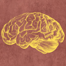 #HowToMentalHealth: How to Search for Clinical Psychologists on the RCI website