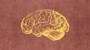 #HowToMentalHealth: How to Search for Clinical Psychologists on the RCI website