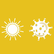 Coronapocalypse: What has it left behind?