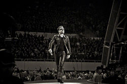 Strut