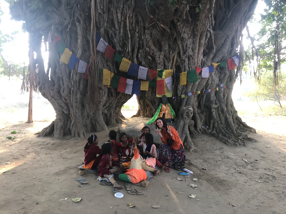 India, Bodhgaya, Banyan Tree, Totoro Tree
